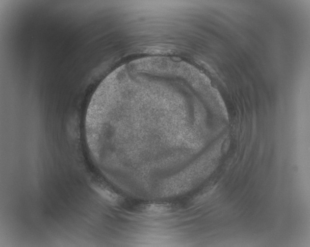 X0000069800303200606091816