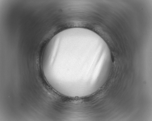 X0000069800306200606091816