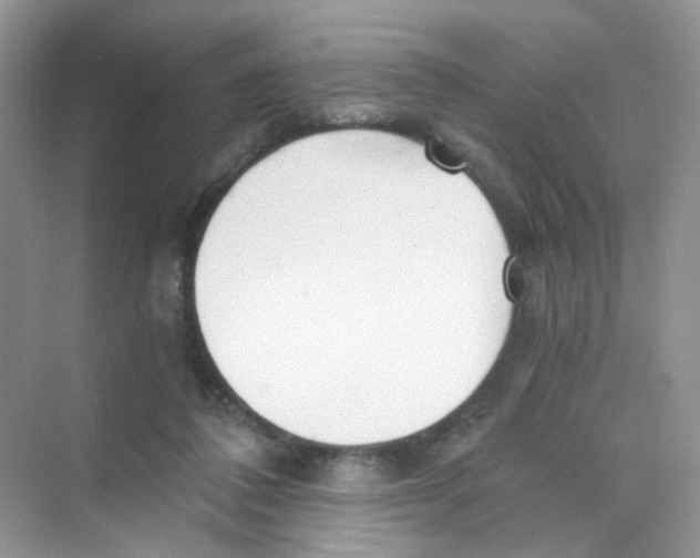 X0000069800308200606091816