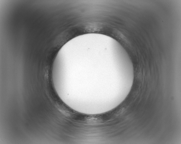 X0000069800315200606091816