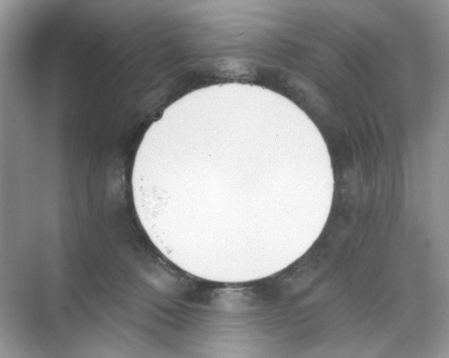 X0000069800320200606091815