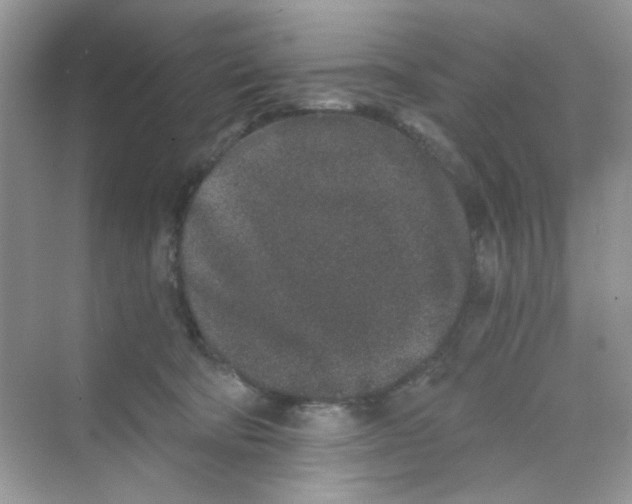 X0000069800322200606091815