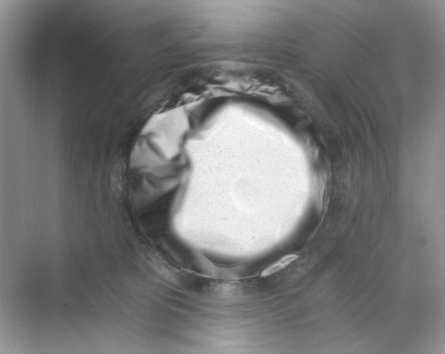 X0000069800325200606091815