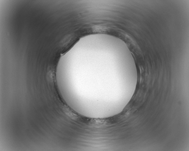 X0000069800329200606091815