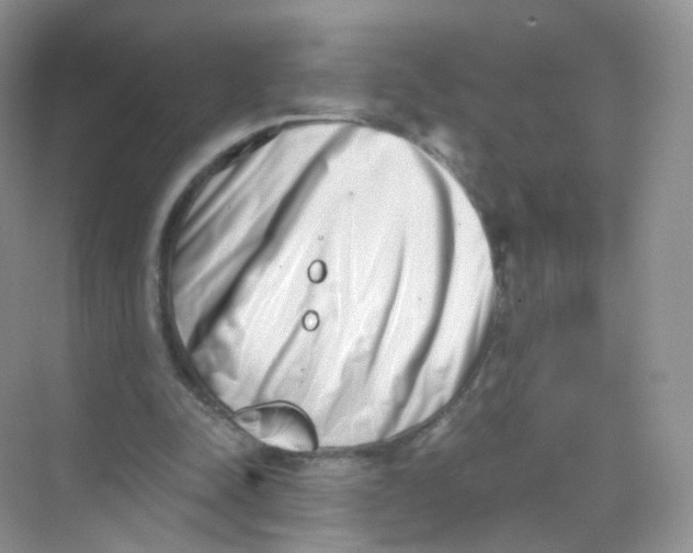 X0000069800342200606091814