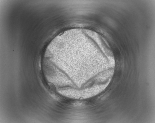 X0000069800358200606091815