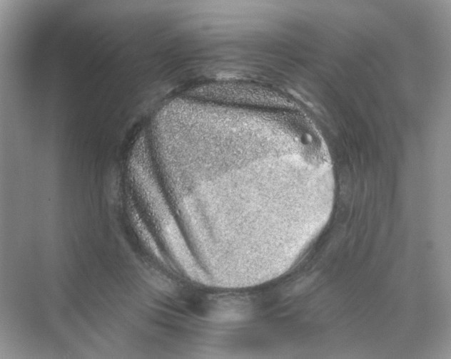 X0000069800359200606091815