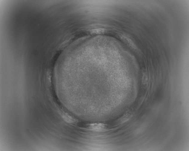 X0000069800363200606091815