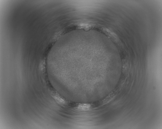 X0000069800369200606091815