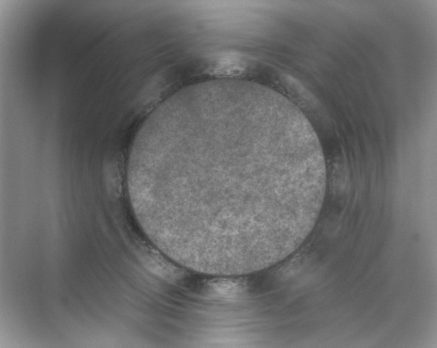 X0000069800370200606091815