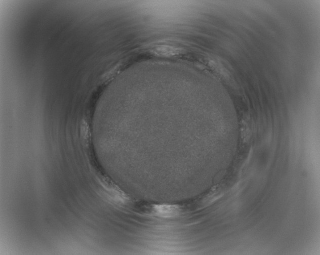 X0000069800371200606091815
