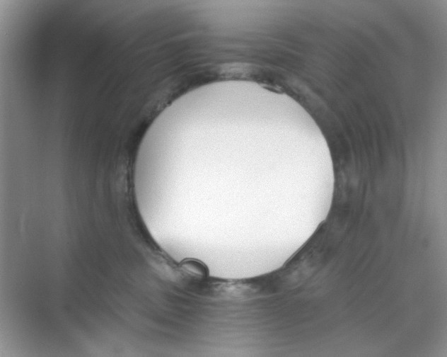 X0000069800379200606091815