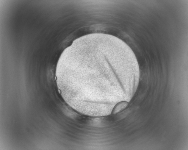X0000069800382200606091815