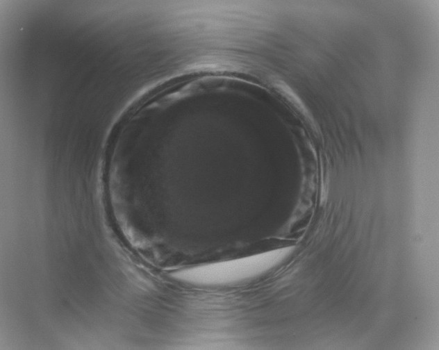 X0000069800387200606091814