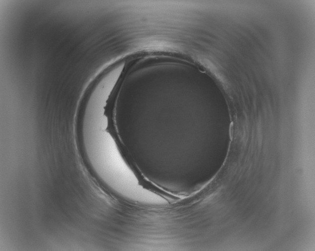 X0000069800391200606091814