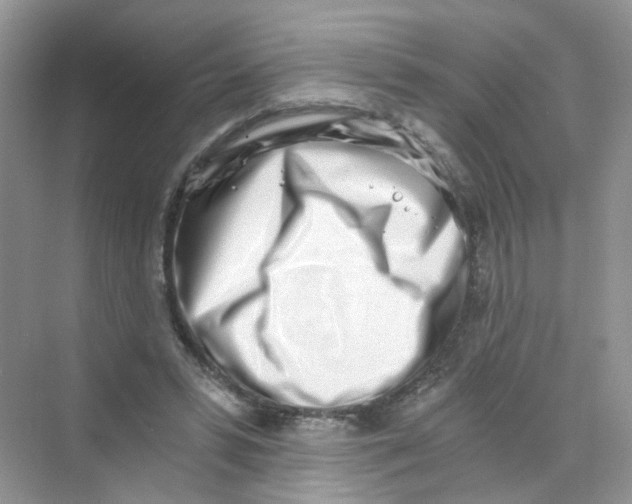 X0000069800399200606091814
