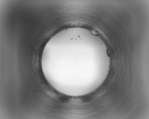 X0000069800403200606091814