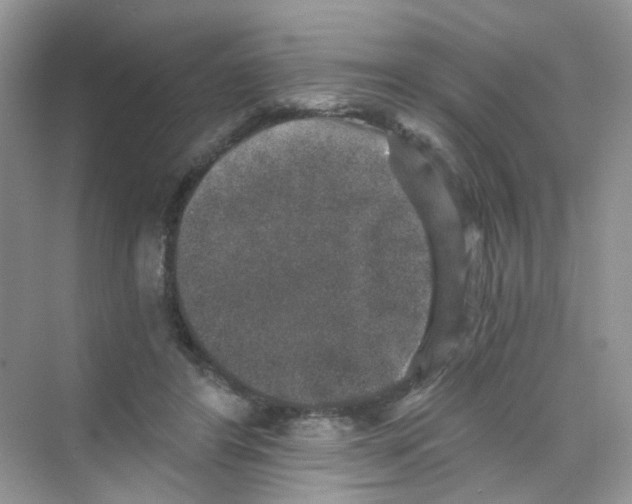 X0000069800404200606091814