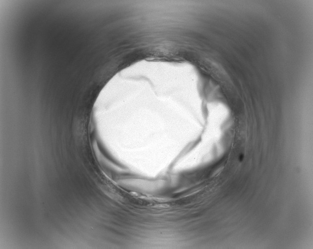 X0000069800409200606091814