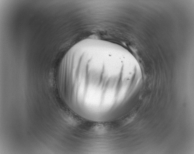 X0000069800416200606091814