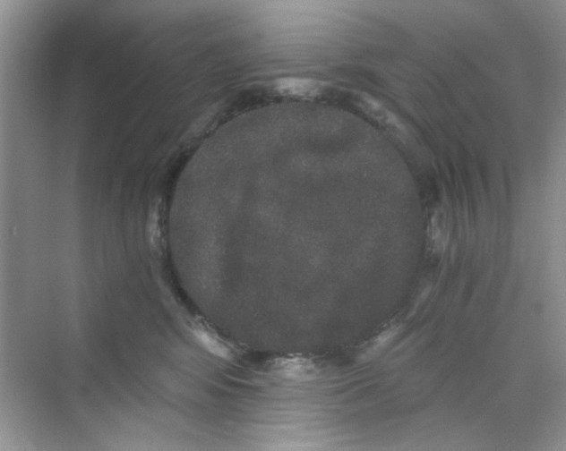 X0000069800424200606091814