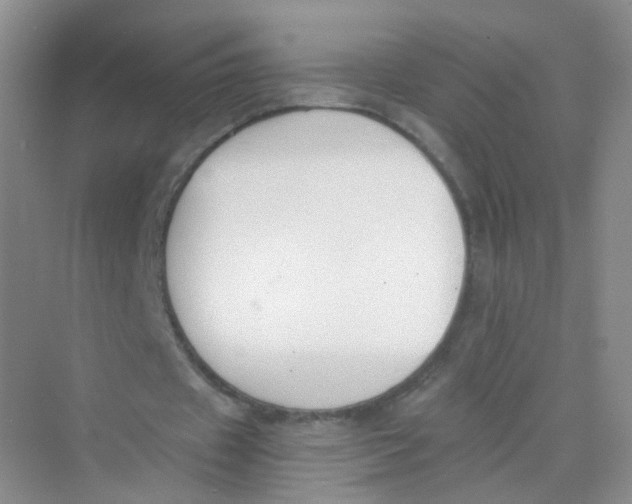 X0000069800433200606091813