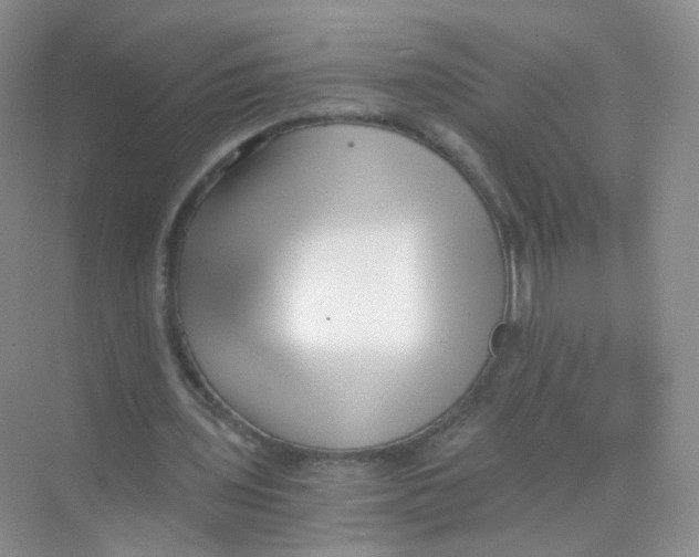 X0000069800435200606091813