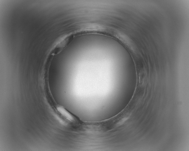X0000069800436200606091813