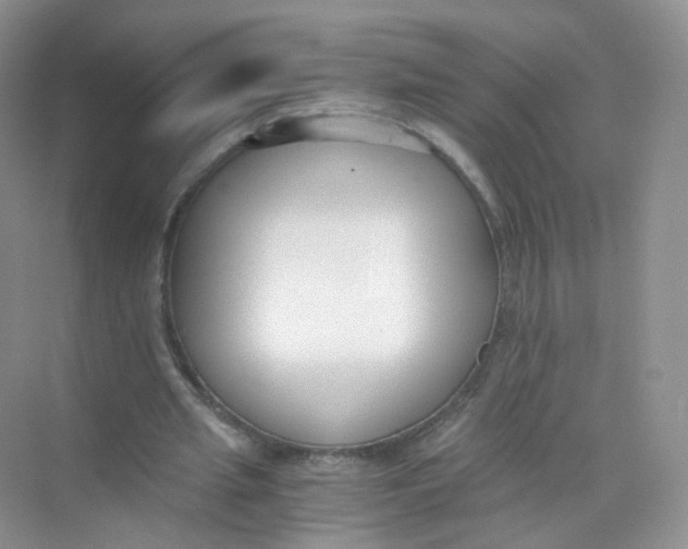 X0000069800437200606091813