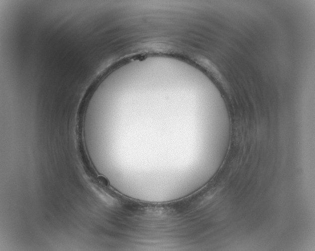 X0000069800439200606091813