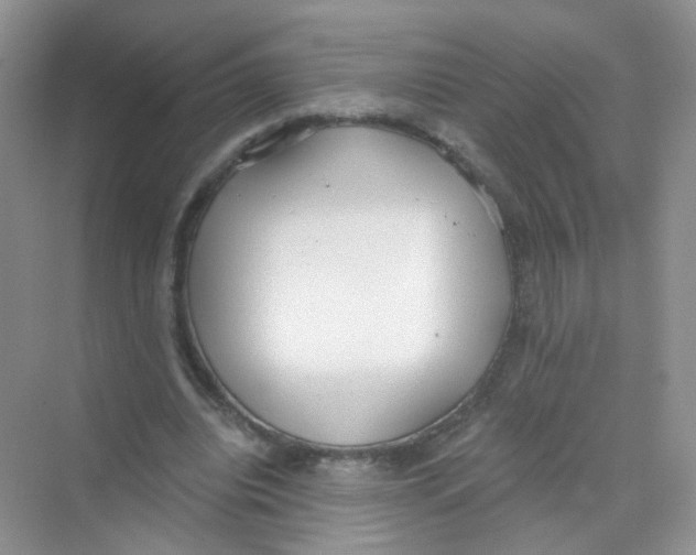 X0000069800440200606091813