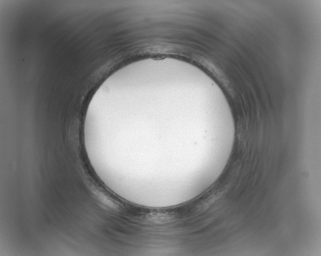 X0000069800445200606091813