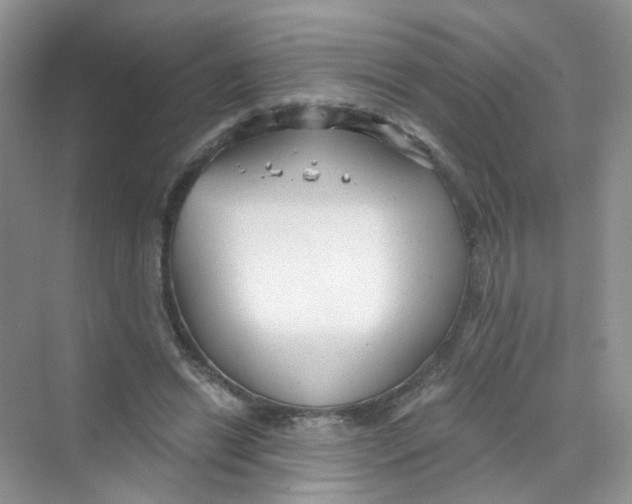 X0000069800446200606091813