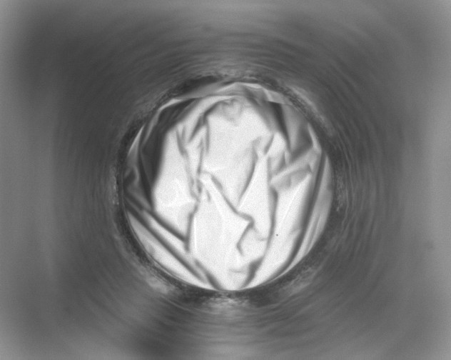 X0000069800453200606091813