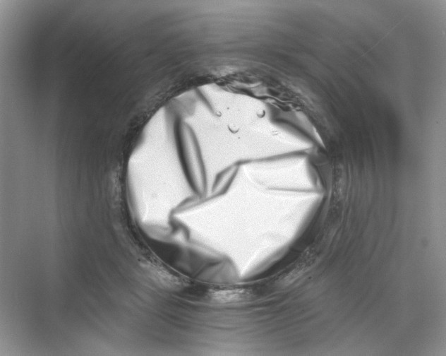 X0000069800461200606091813
