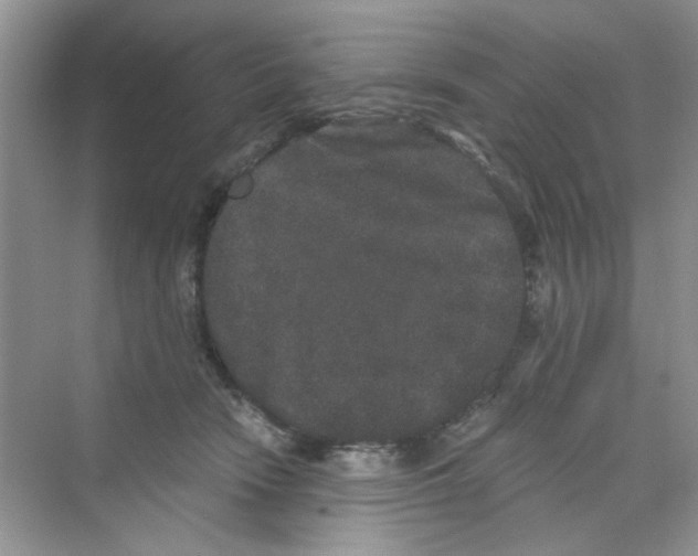 X0000069800466200606091813
