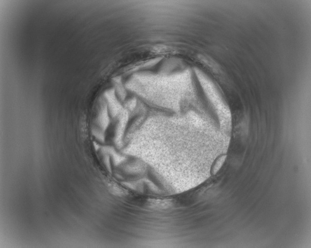 X0000069800469200606091813