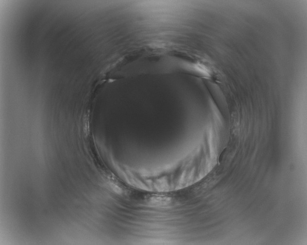 X0000069800471200606091813