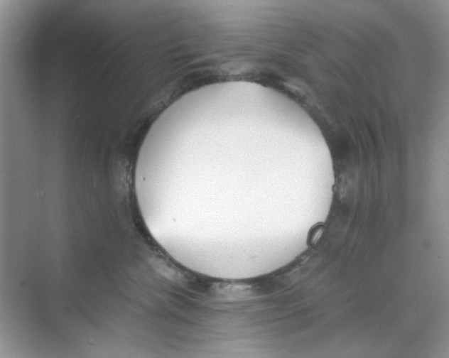 X0000069800476200606091813