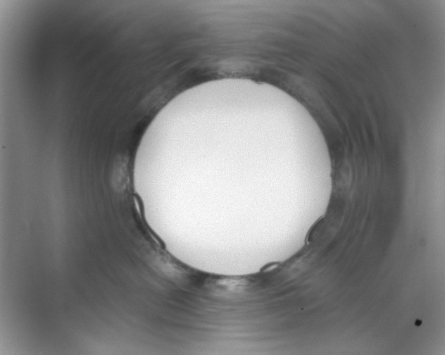 X0000069800478200606091814