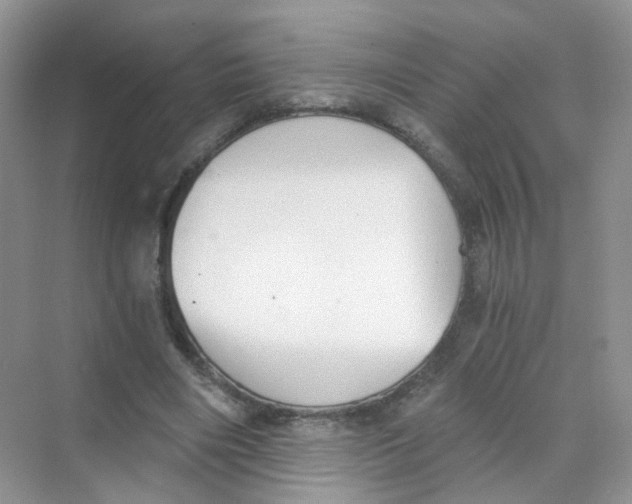 X0000069800490200606091813