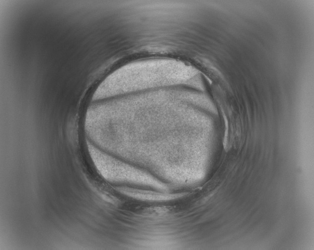 X0000069800492200606091813