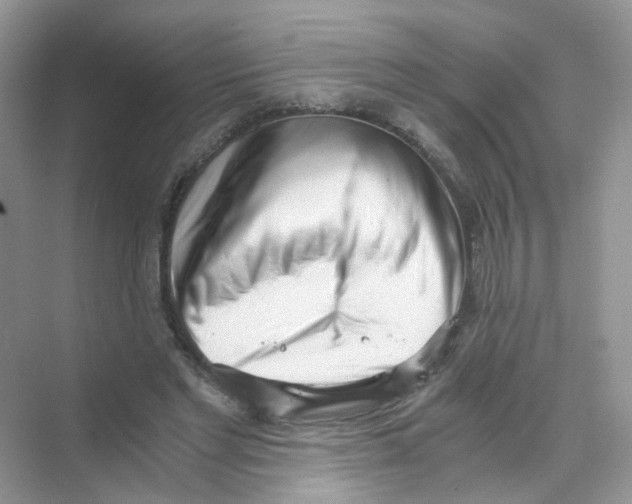X0000069800493200606091813