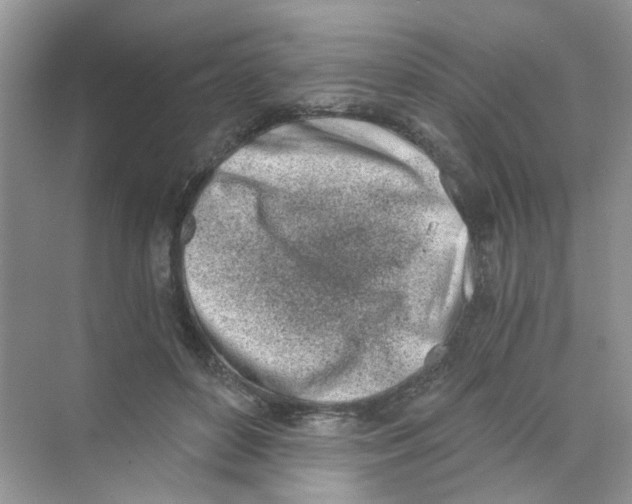 X0000069800504200606091812