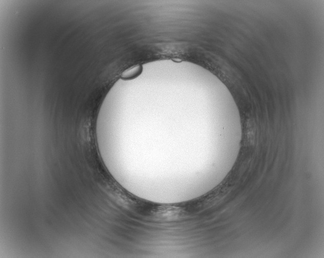 X0000069800514200606091812
