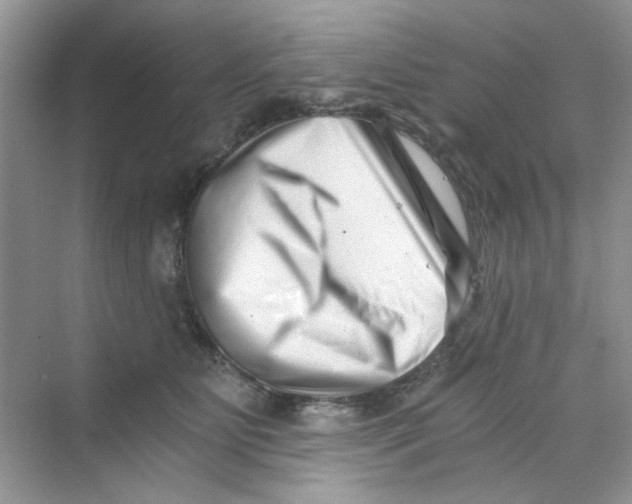 X0000069800515200606091812