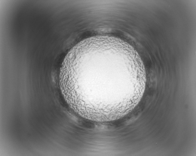 X0000069800523200606091812