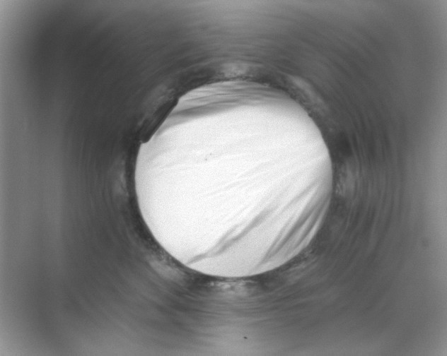 X0000069800524200606091812