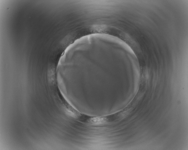 X0000069800526200606091812