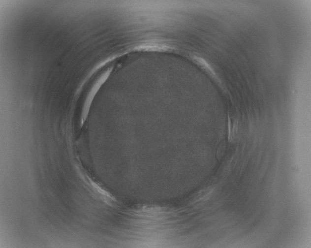 X0000069800531200606091811